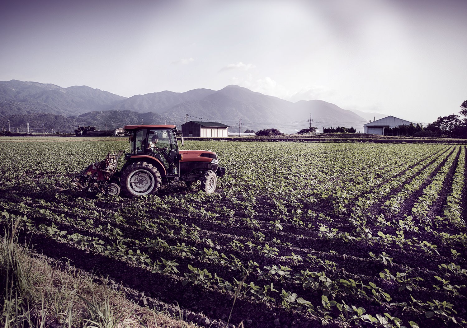 Tipos de implementos agrícolas: o que são e os 9 mais importantes - Blog da  Aegro